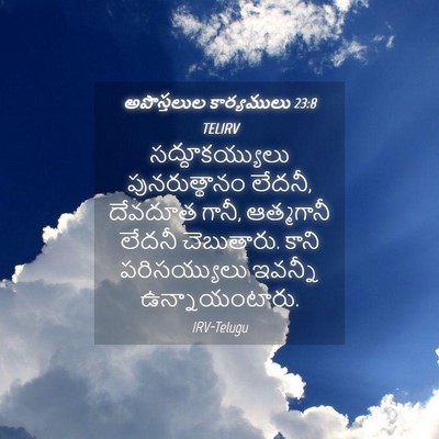 Picture 04 - అపొస్తలుల కార్యములు 23:8 TELIRV - సద్దూకయ్యులు - Bible Verse Picture