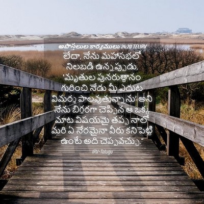 Picture 04 - అపొస్తలుల కార్యములు 24:20 TELIRV - లేదా, నేను మహాసభలో - Bible Verse Picture