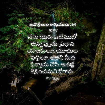 Picture 04 - అపొస్తలుల కార్యములు 25:15 TELIRV - నేను యెరూషలేములో - Bible Verse Picture
