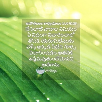 Picture 04 - అపొస్తలుల కార్యములు 25:20 TELIRV - నేనలాటి వాదాల - Bible Verse Picture
