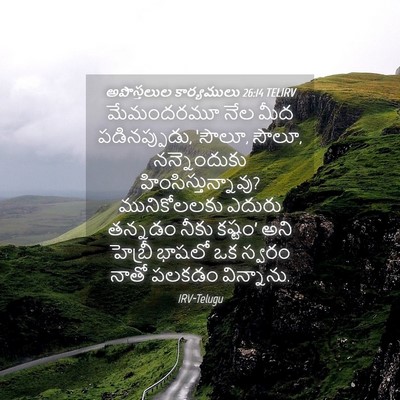 Picture 04 - అపొస్తలుల కార్యములు 26:14 TELIRV - మేమందరమూ నేల మీద - Bible Verse Picture