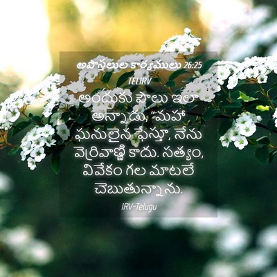 Picture 04 - అపొస్తలుల కార్యములు 26:25 TELIRV - అందుకు పౌలు ఇలా - Bible Verse Picture