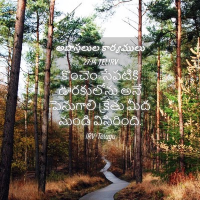 Picture 04 - అపొస్తలుల కార్యములు 27:14 TELIRV - కొంచెం సేపటికి - Bible Verse Picture