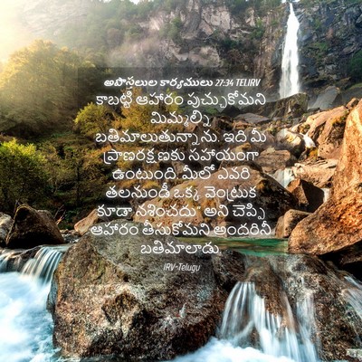 Picture 04 - అపొస్తలుల కార్యములు 27:34 TELIRV - కాబట్టి ఆహారం - Bible Verse Picture
