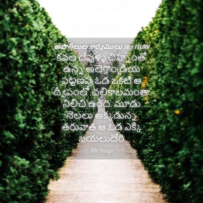Picture 04 - అపొస్తలుల కార్యములు 28:11 TELIRV - కవల దేవుళ్ళ - Bible Verse Picture