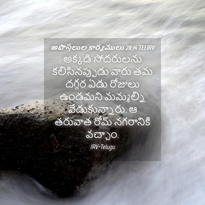 Picture 04 - అపొస్తలుల కార్యములు 28:14 TELIRV - అక్కడి సోదరులను - Bible Verse Picture