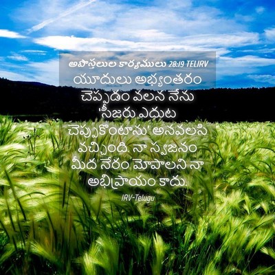 Picture 04 - అపొస్తలుల కార్యములు 28:19 TELIRV - యూదులు అభ్యంతరం - Bible Verse Picture