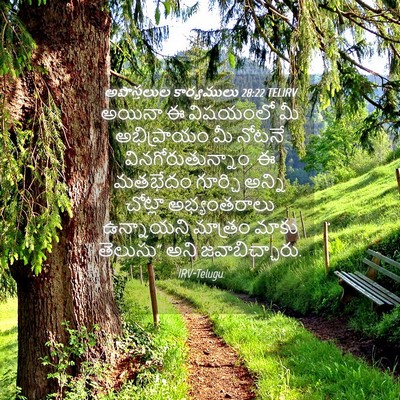 Picture 04 - అపొస్తలుల కార్యములు 28:22 TELIRV - అయినా ఈ విషయంలో మీ - Bible Verse Picture