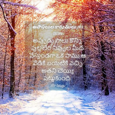 Picture 04 - అపొస్తలుల కార్యములు 28:3 TELIRV - అప్పుడు పౌలు - Bible Verse Picture