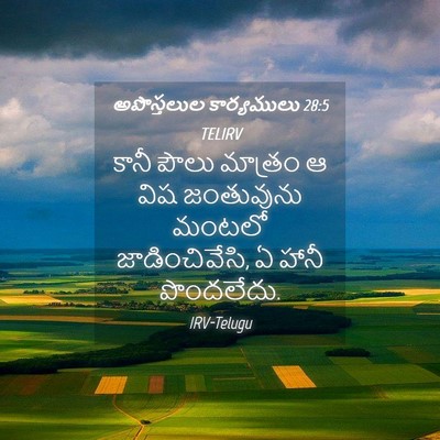 Picture 04 - అపొస్తలుల కార్యములు 28:5 TELIRV - కానీ పౌలు మాత్రం ఆ - Bible Verse Picture