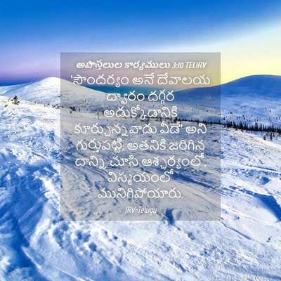 Picture 04 - అపొస్తలుల కార్యములు 3:10 TELIRV - ‘సౌందర్యం అనే - Bible Verse Picture