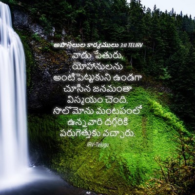 Picture 04 - అపొస్తలుల కార్యములు 3:11 TELIRV - వాడు పేతురు, - Bible Verse Picture