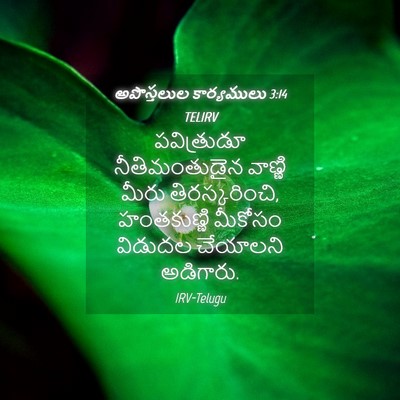 Picture 04 - అపొస్తలుల కార్యములు 3:14 TELIRV - పవిత్రుడూ - Bible Verse Picture