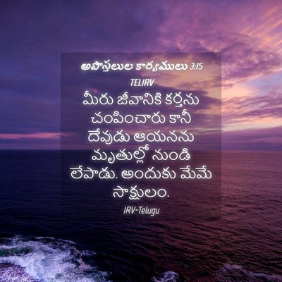 Picture 04 - అపొస్తలుల కార్యములు 3:15 TELIRV - మీరు జీవానికి - Bible Verse Picture