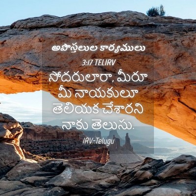 Picture 04 - అపొస్తలుల కార్యములు 3:17 TELIRV - సోదరులారా, మీరూ మీ - Bible Verse Picture
