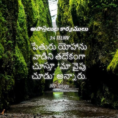 Picture 04 - అపొస్తలుల కార్యములు 3:4 TELIRV - పేతురు యోహాను - Bible Verse Picture