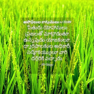 Picture 04 - అపొస్తలుల కార్యములు 4:1 TELIRV - పేతురు యోహానులు - Bible Verse Picture