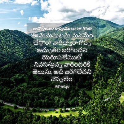 Picture 04 - అపొస్తలుల కార్యములు 4:16 TELIRV - ‘ఈ మనుషులను మనమేం - Bible Verse Picture