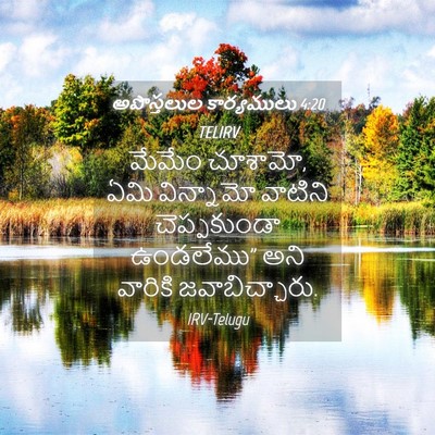 Picture 04 - అపొస్తలుల కార్యములు 4:20 TELIRV - మేమేం చూశామో, ఏమి - Bible Verse Picture