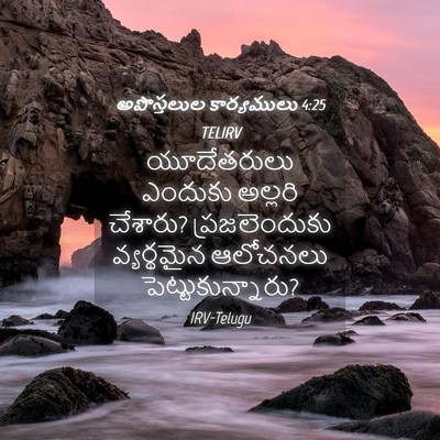 Picture 04 - అపొస్తలుల కార్యములు 4:25 TELIRV - యూదేతరులు ఎందుకు - Bible Verse Picture