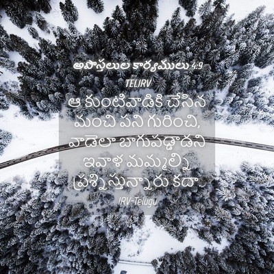Picture 04 - అపొస్తలుల కార్యములు 4:9 TELIRV - ఆ కుంటివాడికి - Bible Verse Picture