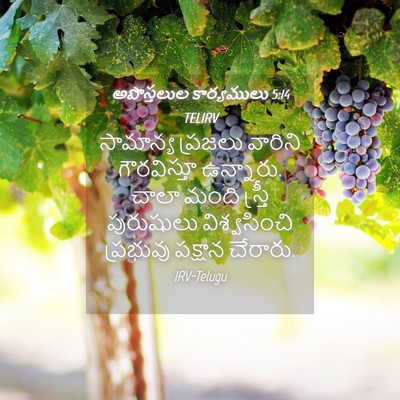 Picture 04 - అపొస్తలుల కార్యములు 5:14 TELIRV - సామాన్య ప్రజలు - Bible Verse Picture