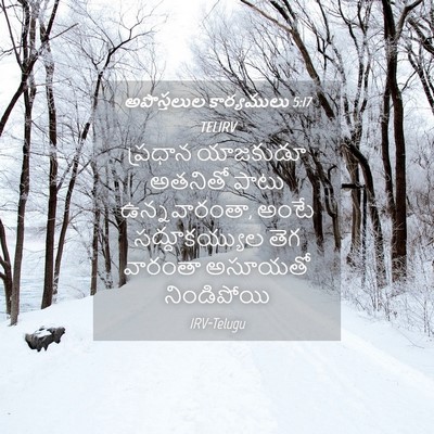 Picture 04 - అపొస్తలుల కార్యములు 5:17 TELIRV - ప్రధాన యాజకుడూ - Bible Verse Picture