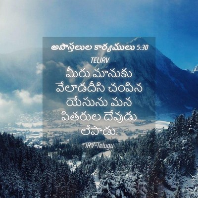 Picture 04 - అపొస్తలుల కార్యములు 5:30 TELIRV - మీరు మానుకు - Bible Verse Picture