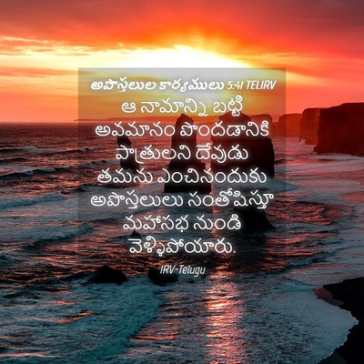 Picture 04 - అపొస్తలుల కార్యములు 5:41 TELIRV - ఆ నామాన్ని బట్టి - Bible Verse Picture