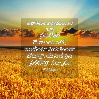 Picture 04 - అపొస్తలుల కార్యములు 5:42 TELIRV - ప్రతిరోజూ - Bible Verse Picture