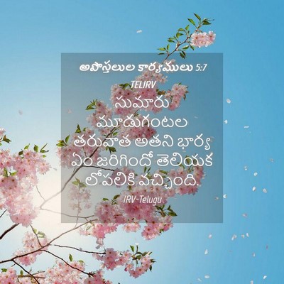 Picture 04 - అపొస్తలుల కార్యములు 5:7 TELIRV - సుమారు మూడుగంటల - Bible Verse Picture