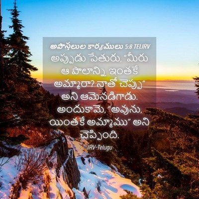 Picture 04 - అపొస్తలుల కార్యములు 5:8 TELIRV - అప్పుడు పేతురు, - Bible Verse Picture