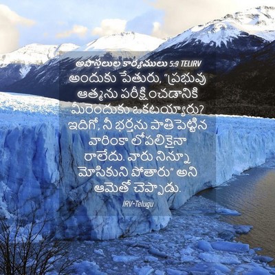 Picture 04 - అపొస్తలుల కార్యములు 5:9 TELIRV - అందుకు పేతురు, - Bible Verse Picture