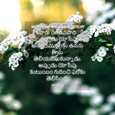 Picture 04 - అపొస్తలుల కార్యములు 7:13 TELIRV - వారు రెండవసారి - Bible Verse Picture
