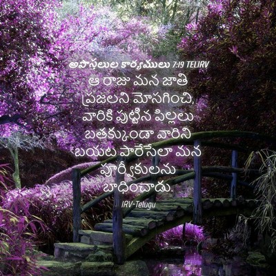 Picture 04 - అపొస్తలుల కార్యములు 7:19 TELIRV - ఆ రాజు మన జాతి - Bible Verse Picture