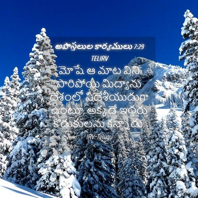 Picture 04 - అపొస్తలుల కార్యములు 7:29 TELIRV - మోషే ఆ మాట విని - Bible Verse Picture