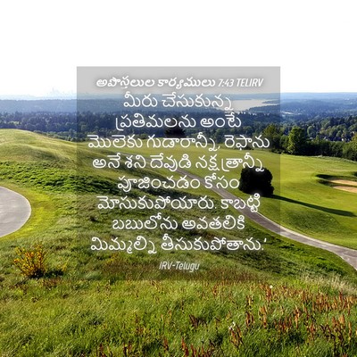 Picture 04 - అపొస్తలుల కార్యములు 7:43 TELIRV - మీరు చేసుకున్న - Bible Verse Picture