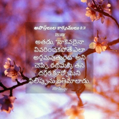 Picture 04 - అపొస్తలుల కార్యములు 8:31 TELIRV - అతడు, “నాకెవరైనా - Bible Verse Picture