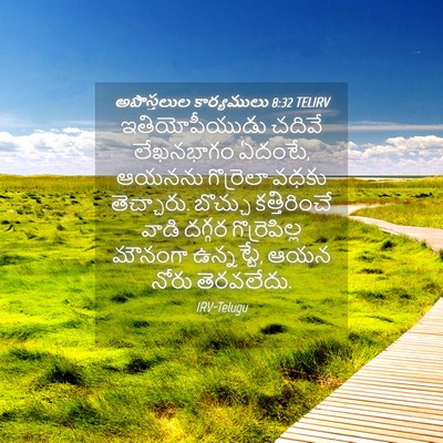 Picture 04 - అపొస్తలుల కార్యములు 8:32 TELIRV - ఇతియోపీయుడు చదివే - Bible Verse Picture