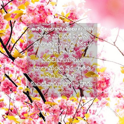 Picture 04 - అపొస్తలుల కార్యములు 8:7 TELIRV - చాలా మందికి - Bible Verse Picture