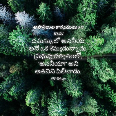 Picture 04 - అపొస్తలుల కార్యములు 9:10 TELIRV - దమస్కులో అననీయ - Bible Verse Picture