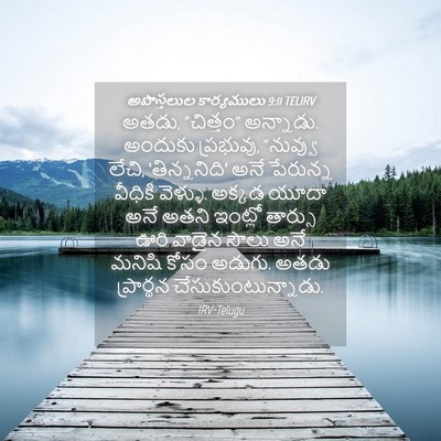 Picture 04 - అపొస్తలుల కార్యములు 9:11 TELIRV - అతడు, “చిత్తం” - Bible Verse Picture