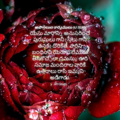 Picture 04 - అపొస్తలుల కార్యములు 9:2 TELIRV - యేసు మార్గాన్ని - Bible Verse Picture