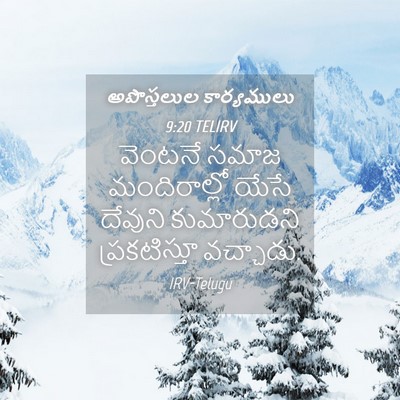 Picture 04 - అపొస్తలుల కార్యములు 9:20 TELIRV - వెంటనే సమాజ - Bible Verse Picture