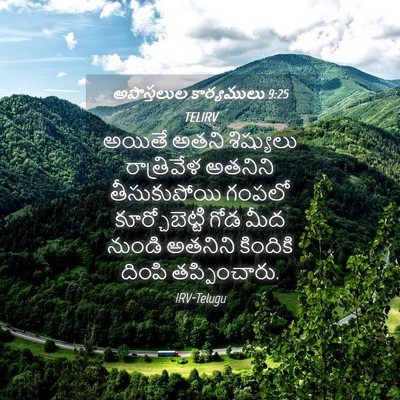 Picture 04 - అపొస్తలుల కార్యములు 9:25 TELIRV - అయితే అతని - Bible Verse Picture