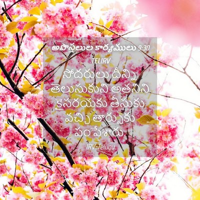 Picture 04 - అపొస్తలుల కార్యములు 9:30 TELIRV - సోదరులు దీన్ని - Bible Verse Picture