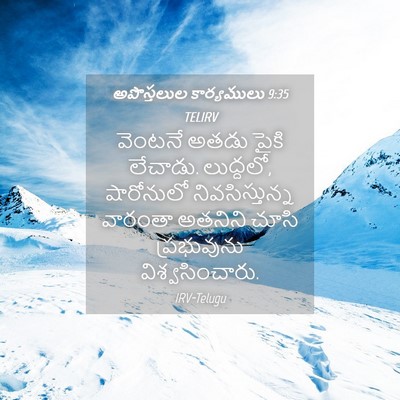 Picture 04 - అపొస్తలుల కార్యములు 9:35 TELIRV - వెంటనే అతడు పైకి - Bible Verse Picture