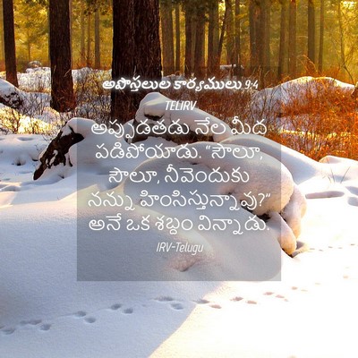 Picture 04 - అపొస్తలుల కార్యములు 9:4 TELIRV - అప్పుడతడు నేల మీద - Bible Verse Picture