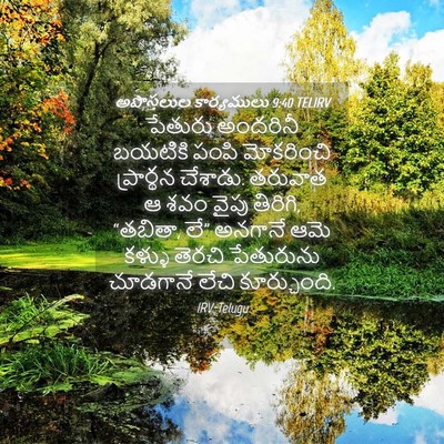 Picture 04 - అపొస్తలుల కార్యములు 9:40 TELIRV - పేతురు అందరినీ - Bible Verse Picture