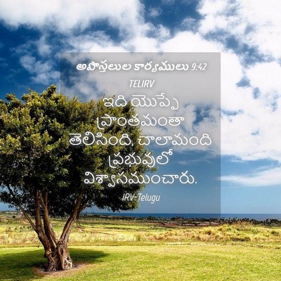 Picture 04 - అపొస్తలుల కార్యములు 9:42 TELIRV - ఇది యొప్పే - Bible Verse Picture